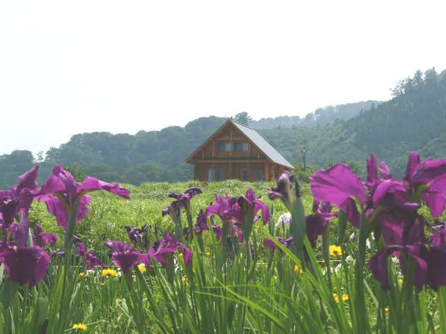 菖蒲高原