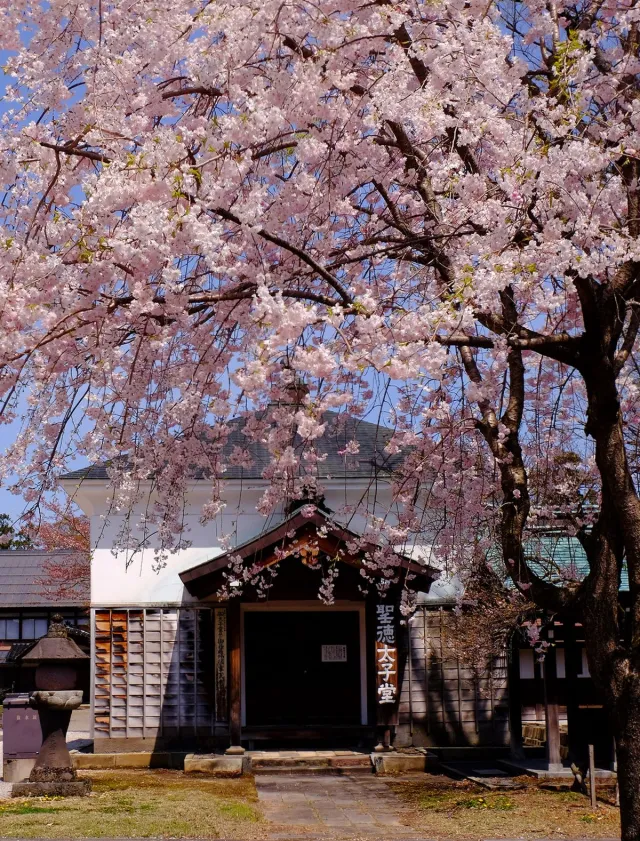 浄興寺