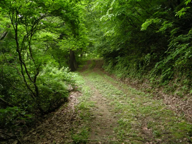 三国街道