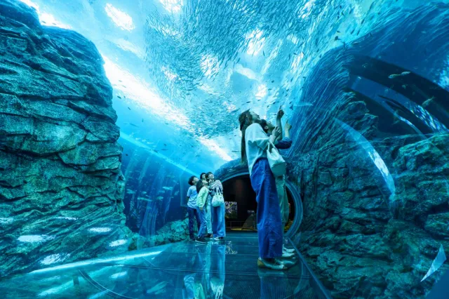 上越市立水族博物館 うみがたり