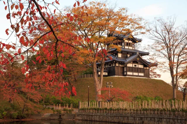 紅葉の見頃