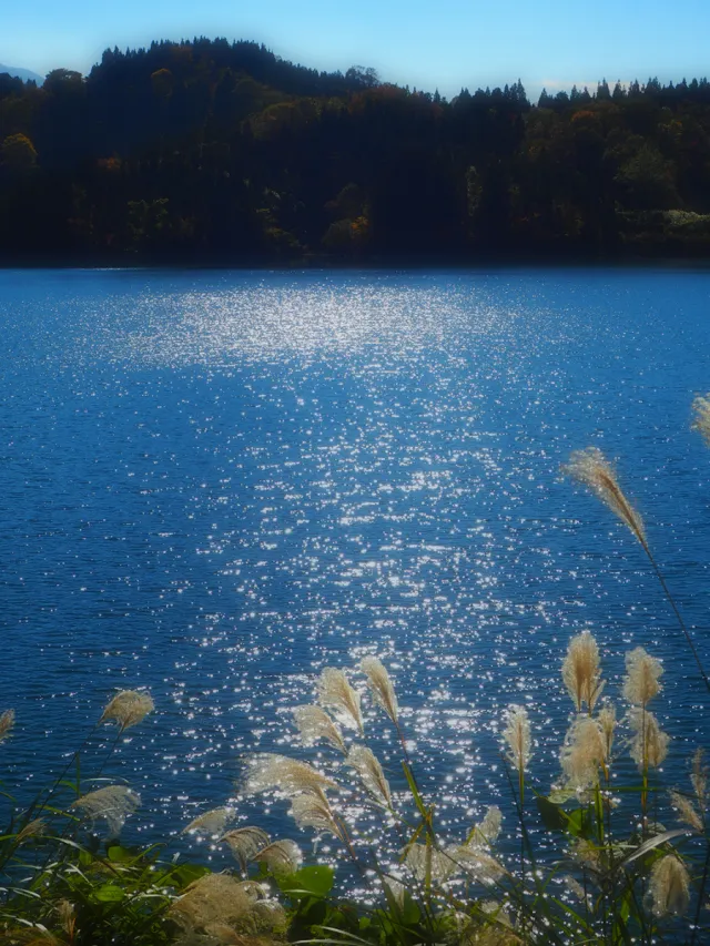 坊ヶ池湖畔公園