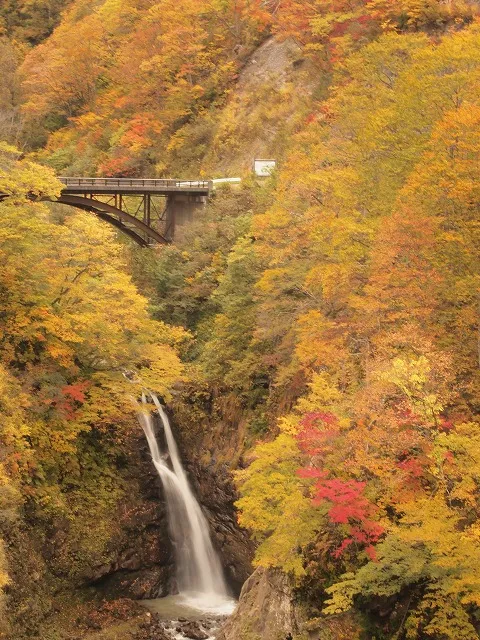 紅葉の見頃