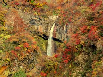 紅葉の見頃