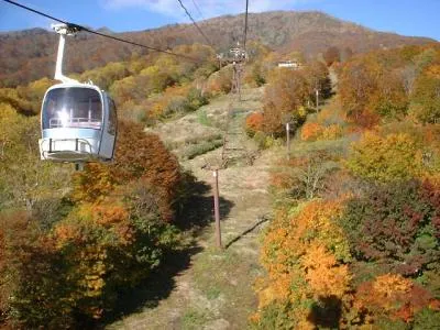 紅葉の見頃