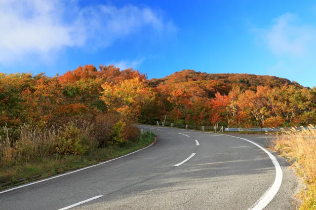 紅葉の見頃