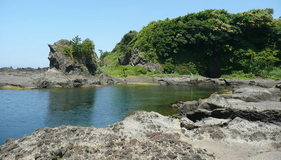 地理的に貴重な海岸風景の連続です。