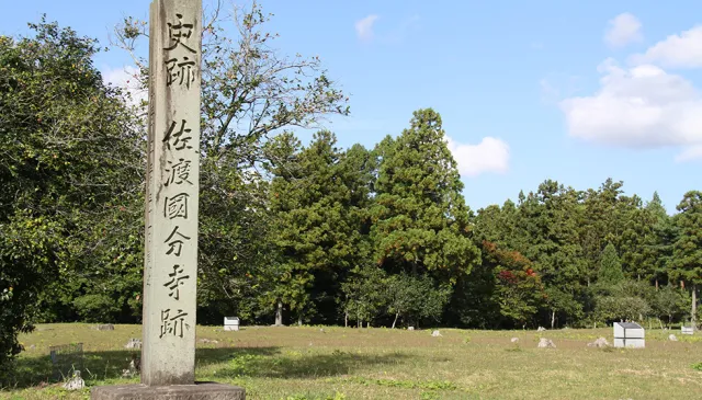 佐渡国分寺跡