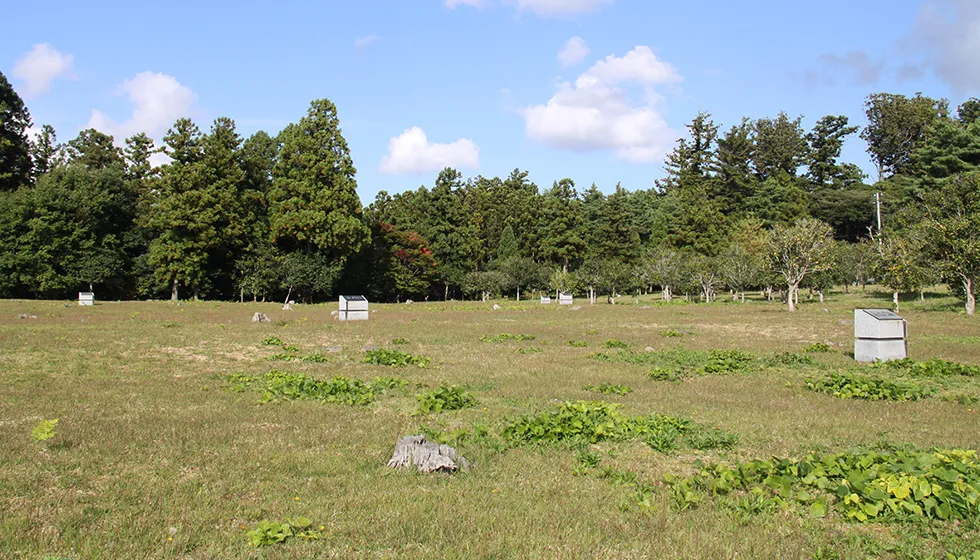 整備された史跡公園になっています。