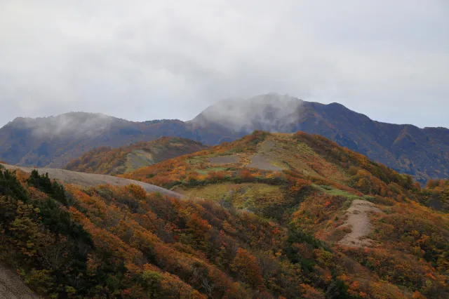 紅葉の見頃