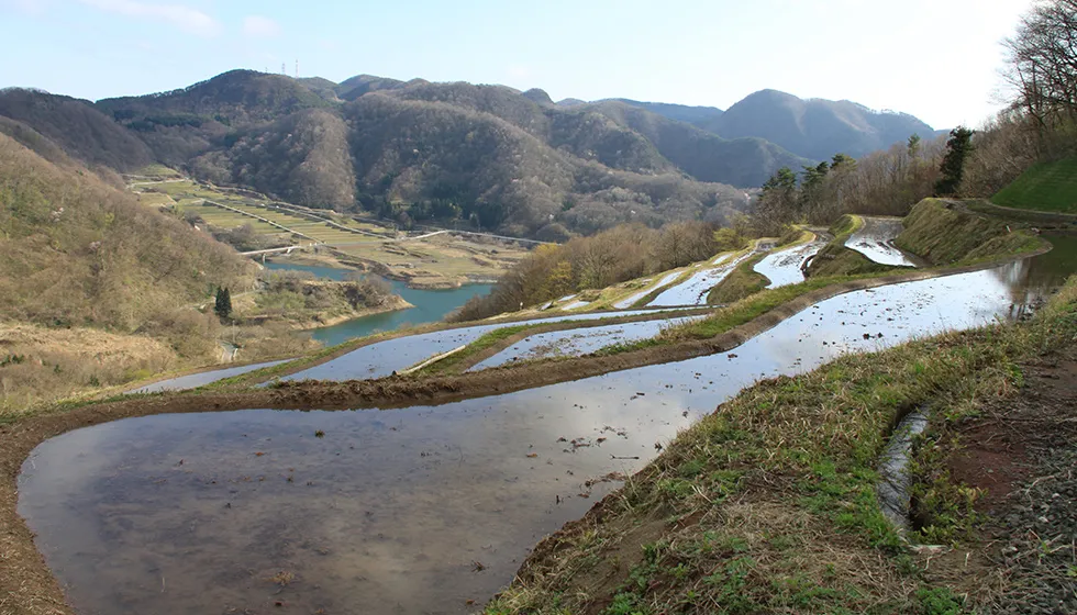 田植えを待つ春の千枚田。