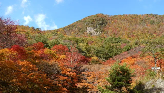 紅葉山