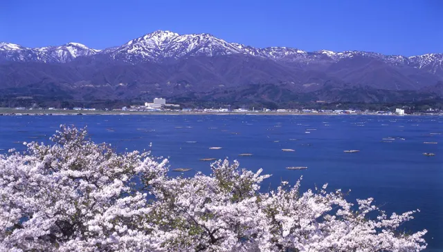 加茂湖