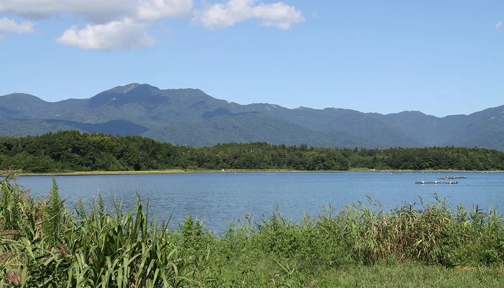 加茂湖の春景色。