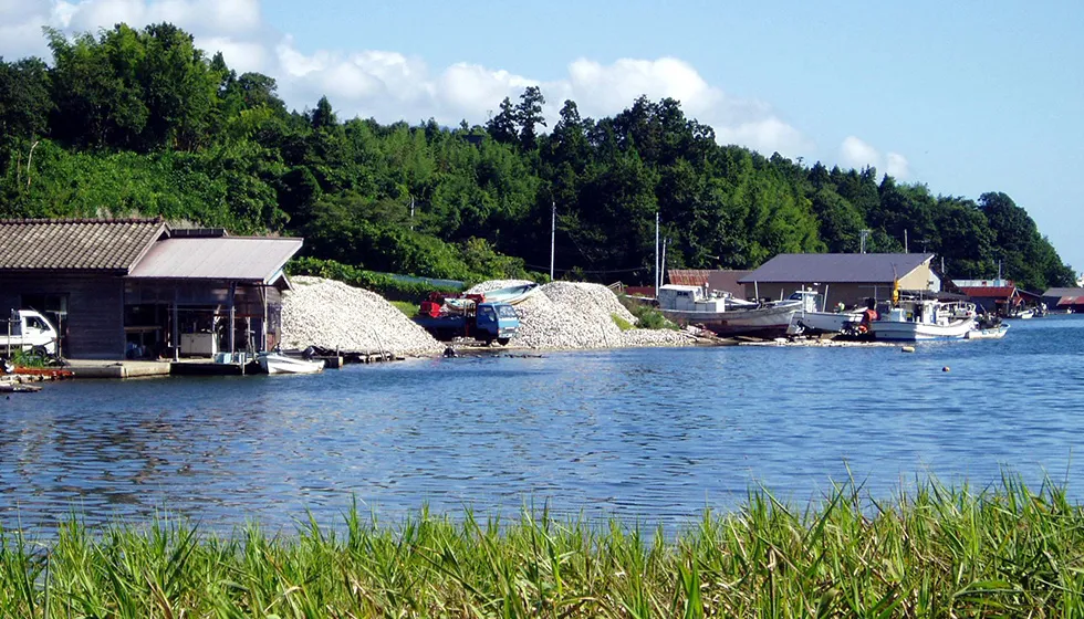 湖岸にはカキ小屋が並んでいます。