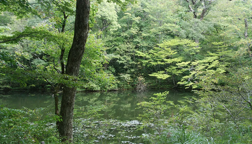 神秘的な池には竜神伝説が伝わります。
