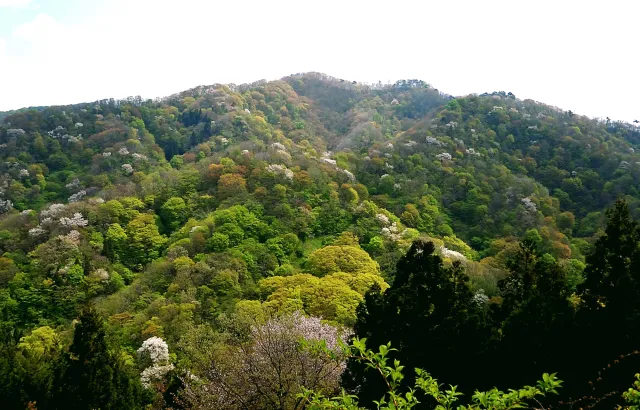 大峰山・寺沢林道登山口