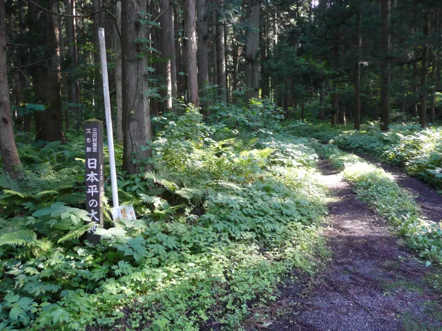 日本平山・谷沢登山口