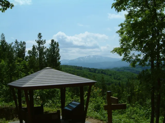 新潟県見附杉沢の森