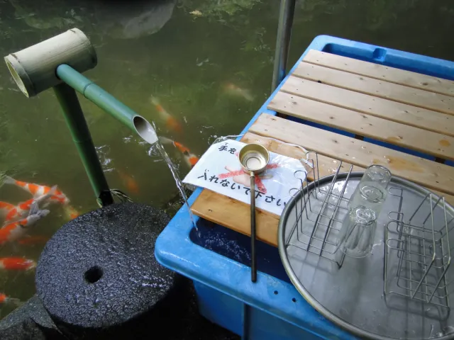 トコロテンの水（ところてんのみず）