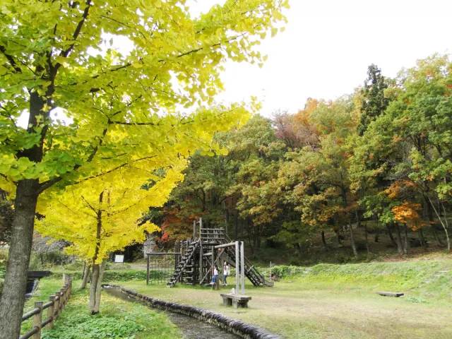 中ノ沢渓谷森林公園