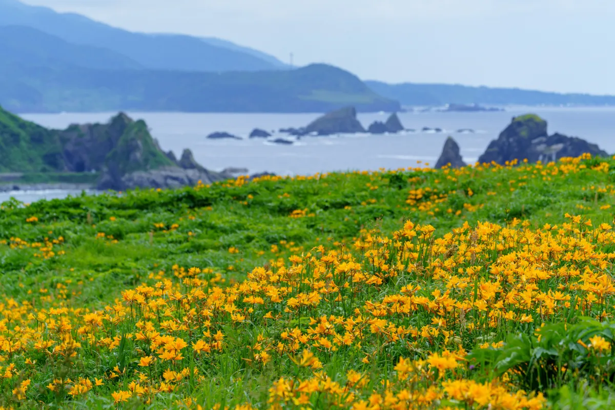 大野亀(遠景)