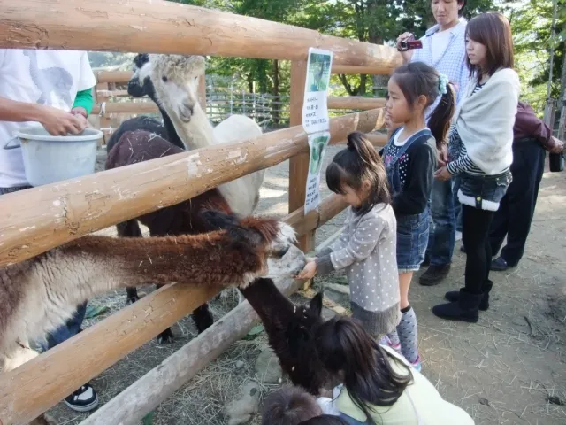山古志アルパカ牧場