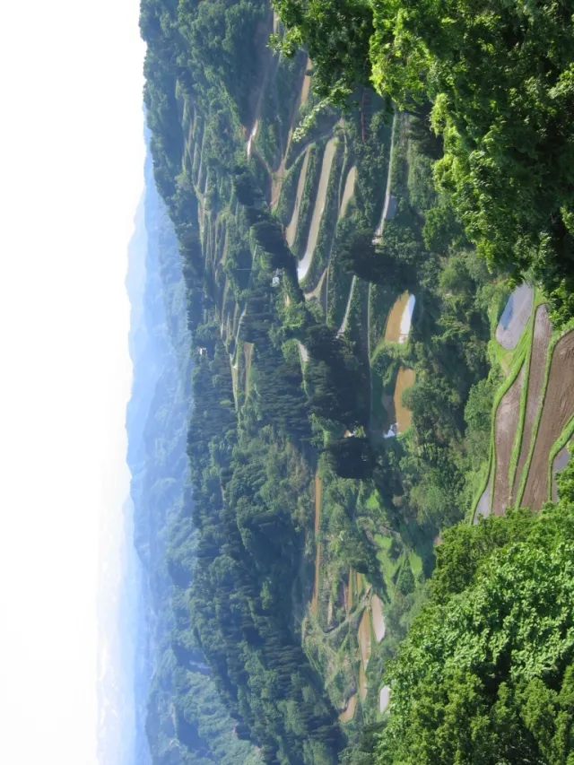 大開の棚田