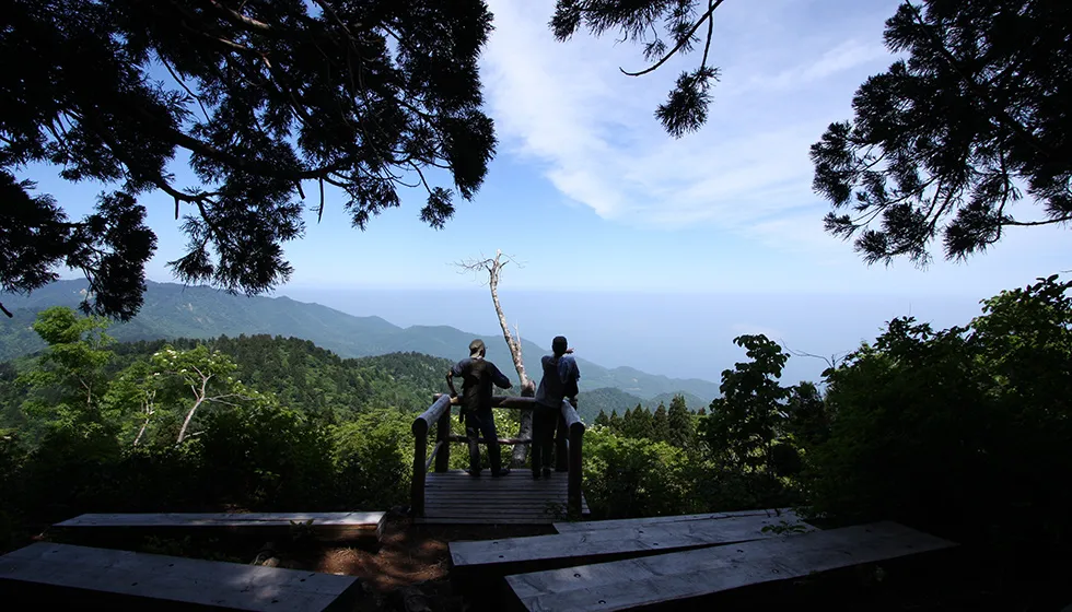 途中には展望台もあり、晴れた日には粟島や大野亀を望めます。