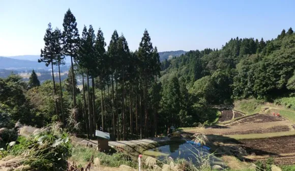 震央メモリアルパーク