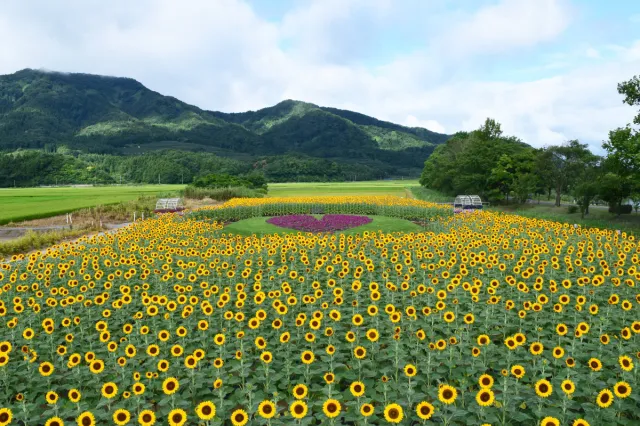 上堰潟公園