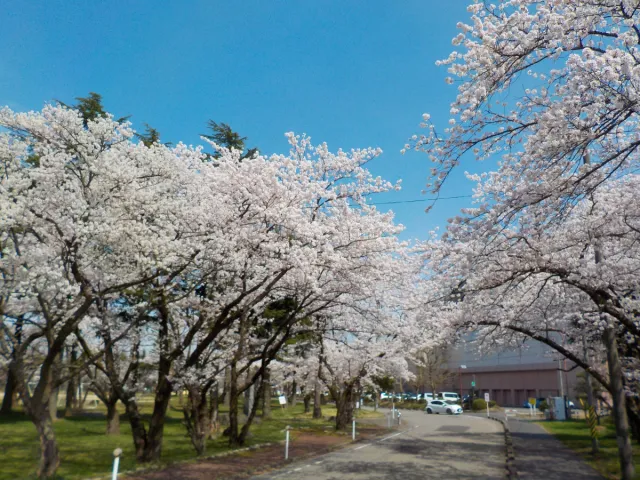 粟島公園