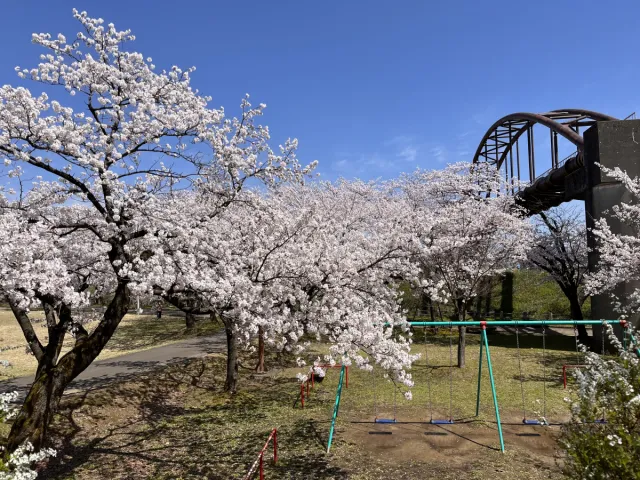今宮公園