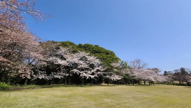 城山公園