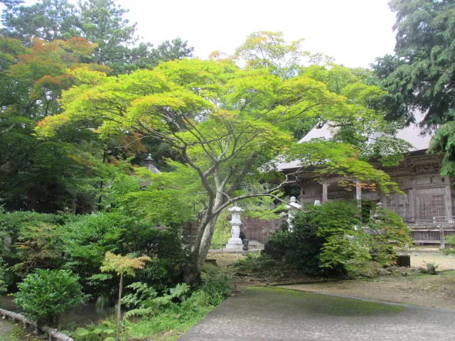 紅葉の見頃
