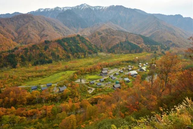 紅葉の見頃