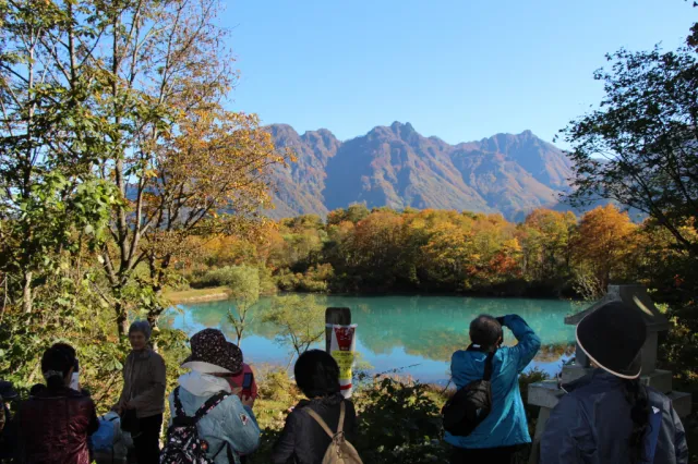 紅葉の見頃