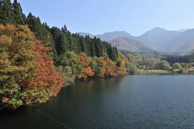 紅葉の見頃