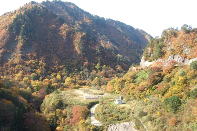 紅葉の見頃