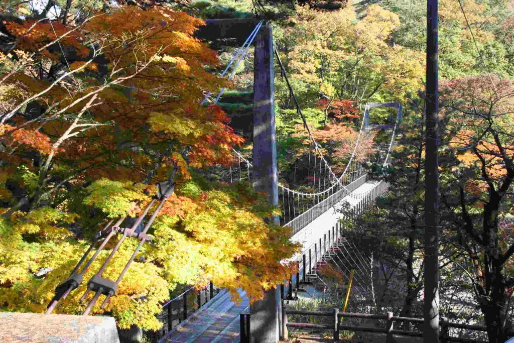 鷹ノ巣吊り橋周辺の紅葉