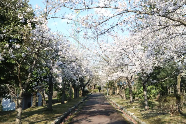 美山公園
