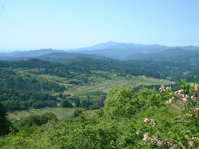 棚田風景（大島区）