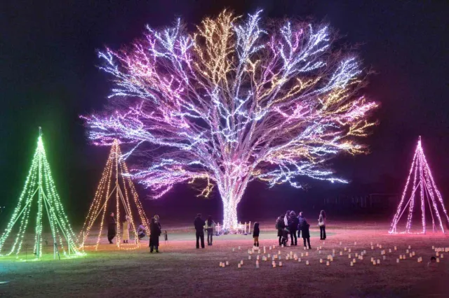 国営越後丘陵公園「Xmasイルミネーション」