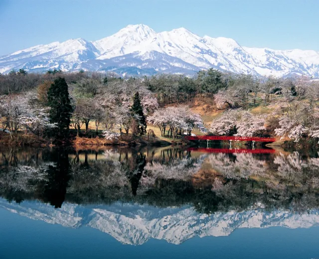 松ヶ峯周辺の桜と妙高山