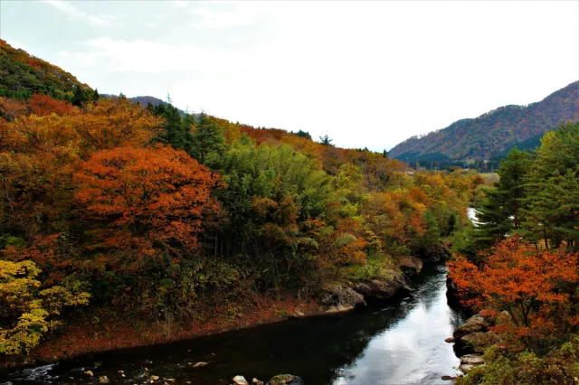 紅葉の見頃