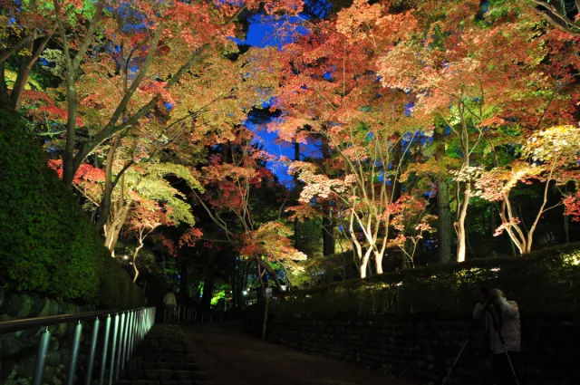 錦秋の越後庭園めぐり 紅葉と海山の幸ゆったり満喫コース