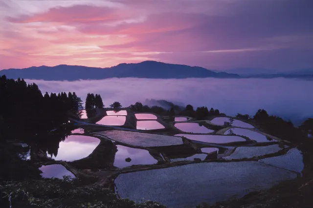 山古志の棚田棚池