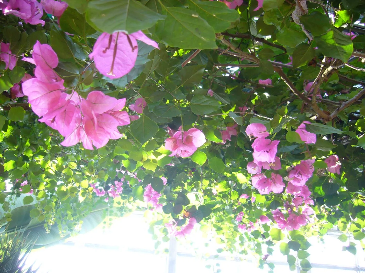 保内公園
