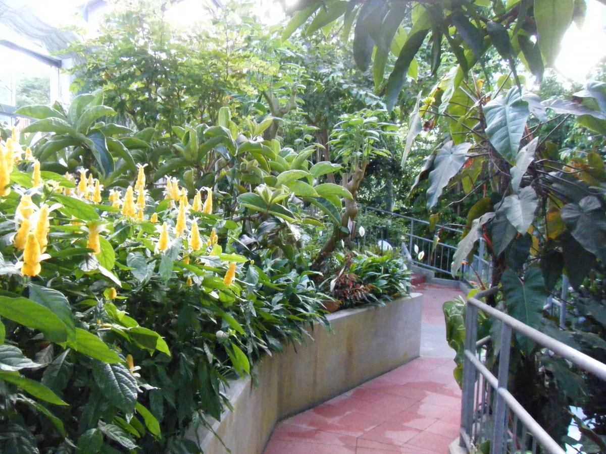 保内公園