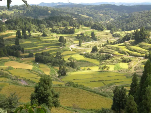 【販売中止】里山の達人タクシー